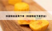 抖音粉丝业务下单（抖音粉丝下单平台）