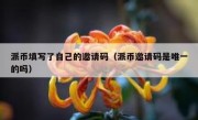派币填写了自己的邀请码（派币邀请码是唯一的吗）