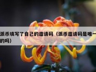 派币填写了自己的邀请码（派币邀请码是唯一的吗）