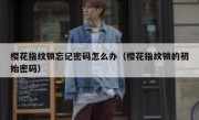 樱花指纹锁忘记密码怎么办（樱花指纹锁的初始密码）