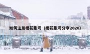 如何注册樱花账号（樱花账号分享2020）