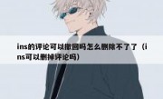 ins的评论可以撤回吗怎么删除不了了（ins可以删掉评论吗）
