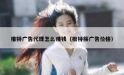 推特广告代理怎么赚钱（推特接广告价格）