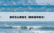 推特怎么删推文（删除推特推文）