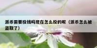 派币需要投钱吗现在怎么投的呢（派币怎么被盗取了）