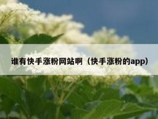 谁有快手涨粉网站啊（快手涨粉的app）