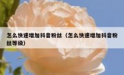 怎么快速增加抖音粉丝（怎么快速增加抖音粉丝等级）