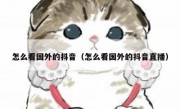 怎么看国外的抖音（怎么看国外的抖音直播）