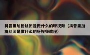 抖音里加粉丝团是做什么的呀视频（抖音里加粉丝团是做什么的呀视频教程）