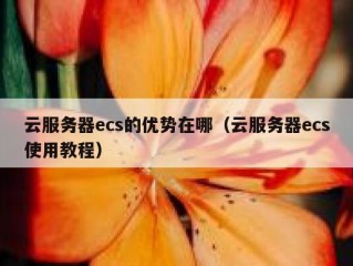 云服务器ecs的优势在哪（云服务器ecs使用教程）