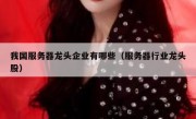 我国服务器龙头企业有哪些（服务器行业龙头股）