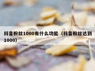 抖音粉丝1000有什么功能（抖音粉丝达到1000）
