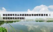 微信视频号怎么快速涨粉丝等级呢苹果手机（微信视频号如何增粉）