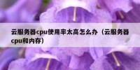 云服务器cpu使用率太高怎么办（云服务器cpu和内存）
