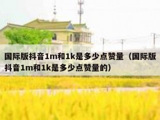国际版抖音1m和1k是多少点赞量（国际版抖音1m和1k是多少点赞量的）