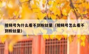 视频号为什么看不到粉丝量（视频号怎么看不到粉丝量）