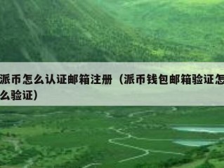 派币怎么认证邮箱注册（派币钱包邮箱验证怎么验证）