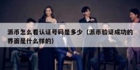 派币怎么看认证号码是多少（派币验证成功的界面是什么样的）