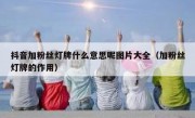 抖音加粉丝灯牌什么意思呢图片大全（加粉丝灯牌的作用）