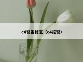 c4警告修复（c4报警）