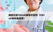 国际抖音tiktok赚钱可靠吗（tiktok培训割韭菜）