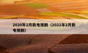 2020年2月新电视剧（2021年2月新电视剧）
