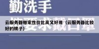 云服务器哪家性价比高又好用（云服务器比较好的牌子）