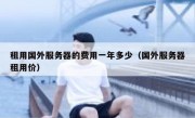 租用国外服务器的费用一年多少（国外服务器租用价）