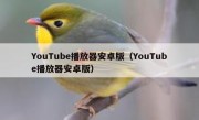 YouTube播放器安卓版（YouTube播放器安卓版）