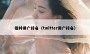 推特用户排名（twitter用户排名）