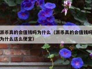 派币真的会值钱吗为什么（派币真的会值钱吗为什么这么便宜）