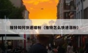 推特如何快速增粉（推特怎么快速涨粉）