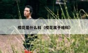 樱花是什么科（樱花属于啥科）