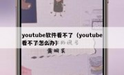 youtube软件看不了（youtube看不了怎么办）