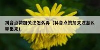 抖音点赞加关注怎么弄（抖音点赞加关注怎么弄出来）