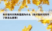 支付宝代付失败是因为什么（支付宝代付付不了款怎么回事）