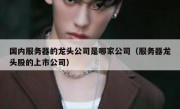 国内服务器的龙头公司是哪家公司（服务器龙头股的上市公司）