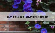 fb广告什么意思（fb广告什么意思呀）