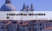 手机国外ip代理app（国外ip代理安卓版）
