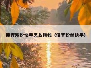 便宜涨粉快手怎么赚钱（便宜粉丝快手）
