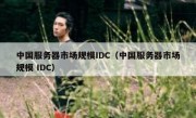中国服务器市场规模IDC（中国服务器市场规模 IDC）