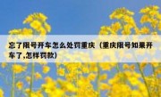 忘了限号开车怎么处罚重庆（重庆限号如果开车了,怎样罚款）