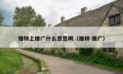 推特上推广什么意思啊（推特 推广）