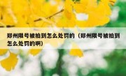 郑州限号被拍到怎么处罚的（郑州限号被拍到怎么处罚的啊）