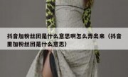 抖音加粉丝团是什么意思啊怎么弄出来（抖音里加粉丝团是什么意思）