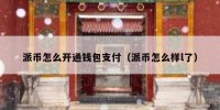 派币怎么开通钱包支付（派币怎么样l了）