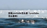 想看youtube怎么看（youtube怎么看啊）