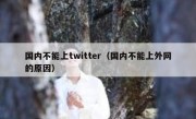 国内不能上twitter（国内不能上外网的原因）