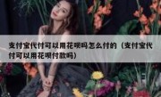 支付宝代付可以用花呗吗怎么付的（支付宝代付可以用花呗付款吗）