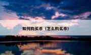 如何购买币（怎么购买币）